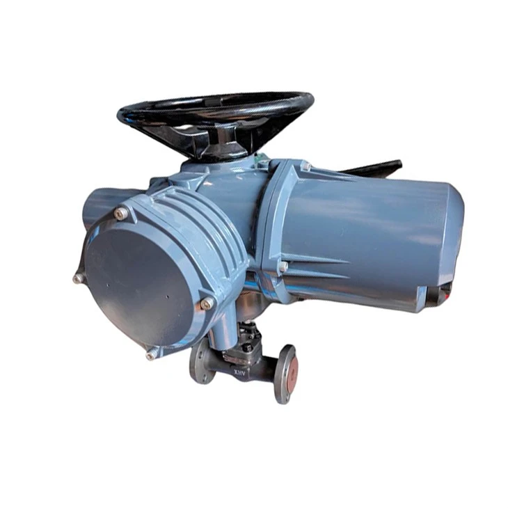 1inch High Temperature Globe Valves ANSI API